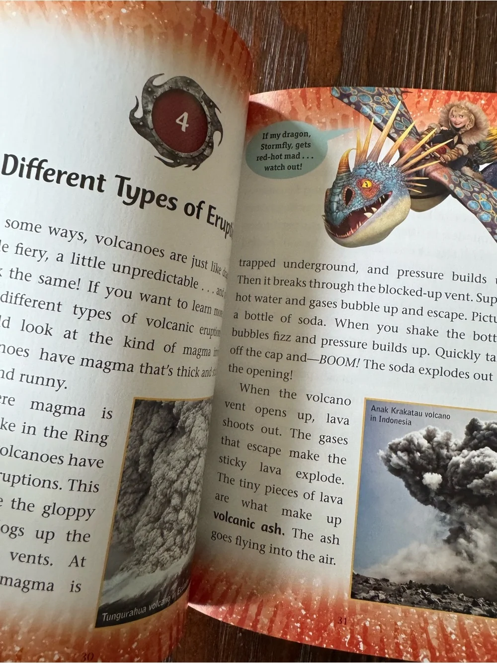 School of Dragons Volcano Escape non-fiction book How to Train Your Dragon